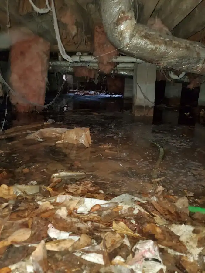 Crawl space flood assessment for Leak Detection & Repair in Valley Stream